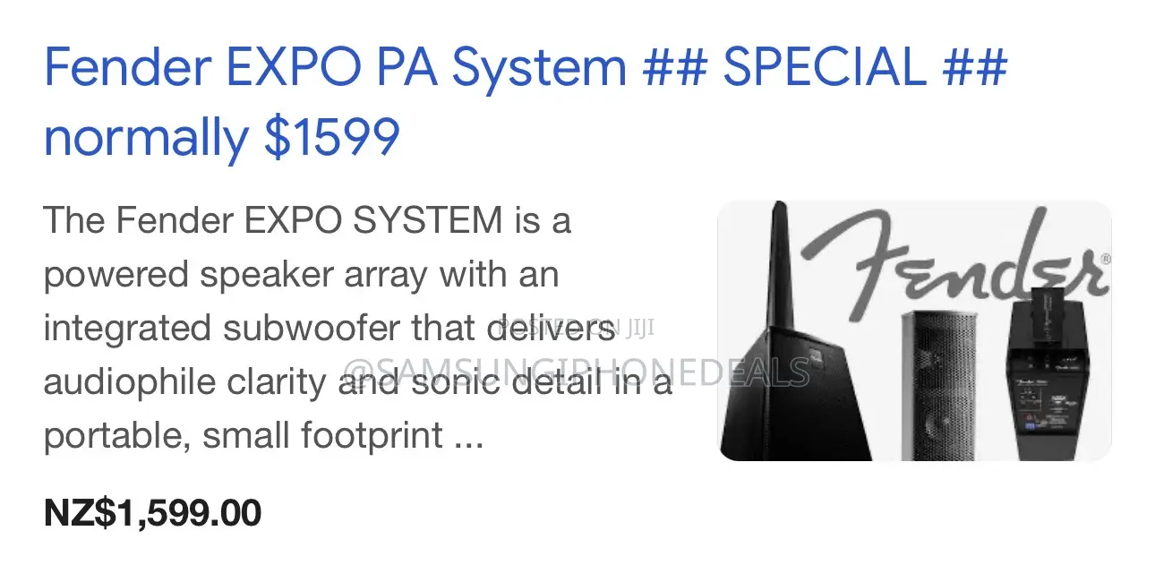 Fender Expo Pa System