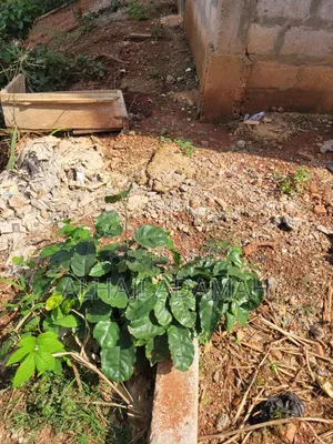 Land for Sale at Santa'si Darko Near Main Road