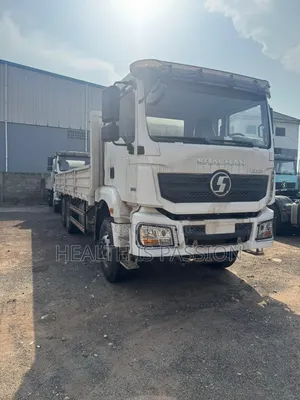 Brand New Shachman Cargo Trucks for Hotsale