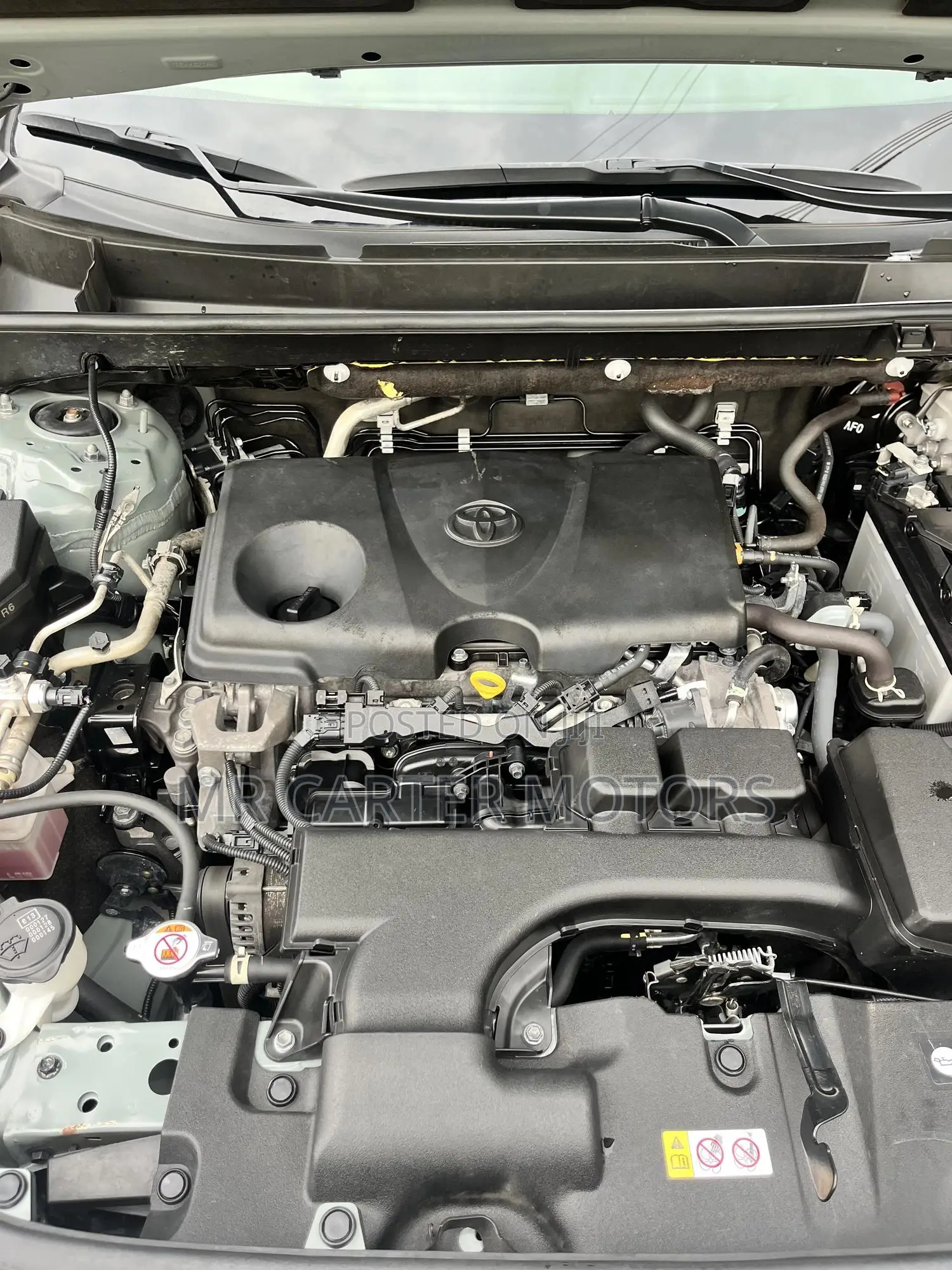 Toyota RAV4 XLE 2022 Green