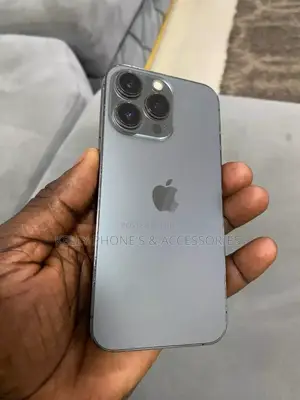 Apple iPhone 13 Pro 256 GB Silver