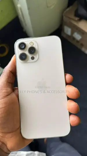 Apple iPhone 12 Pro Max 256 GB White