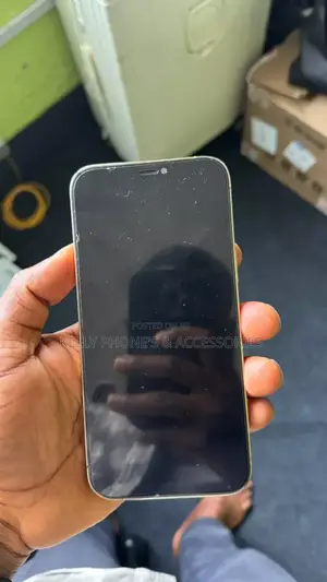 Apple iPhone 12 Pro Max 256 GB White