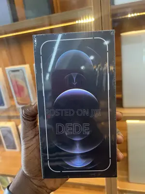 New Apple iPhone 12 Pro Max 128 GB Silver