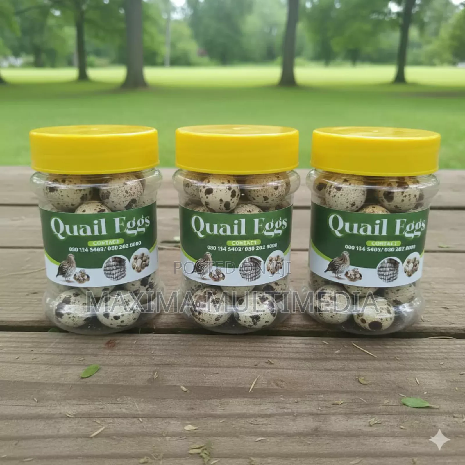 Quail Eggs