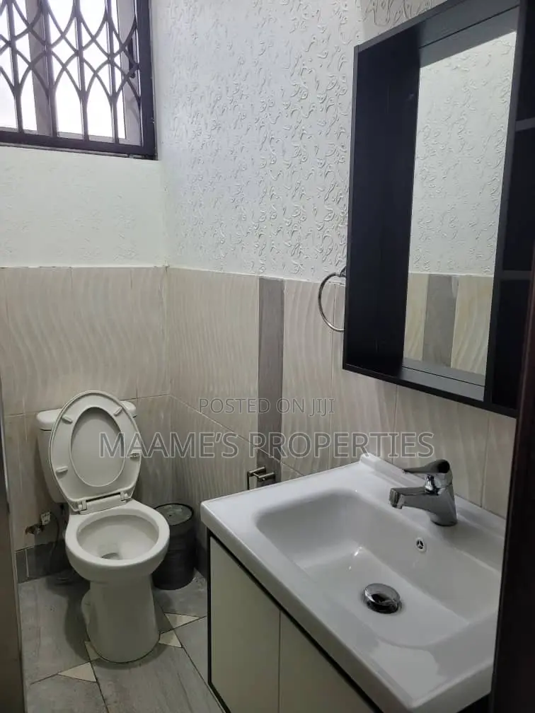 Furnished 2bdrm Apartment in Tseaddo for rent