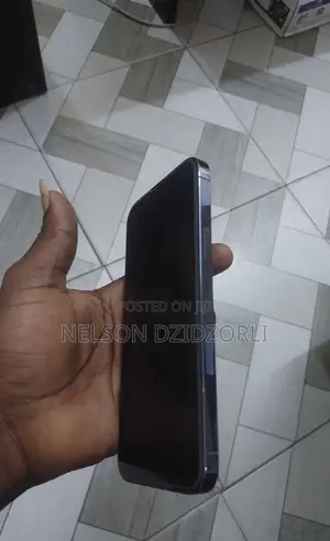 Apple iPhone 13 Pro Max 1 TB Blue
