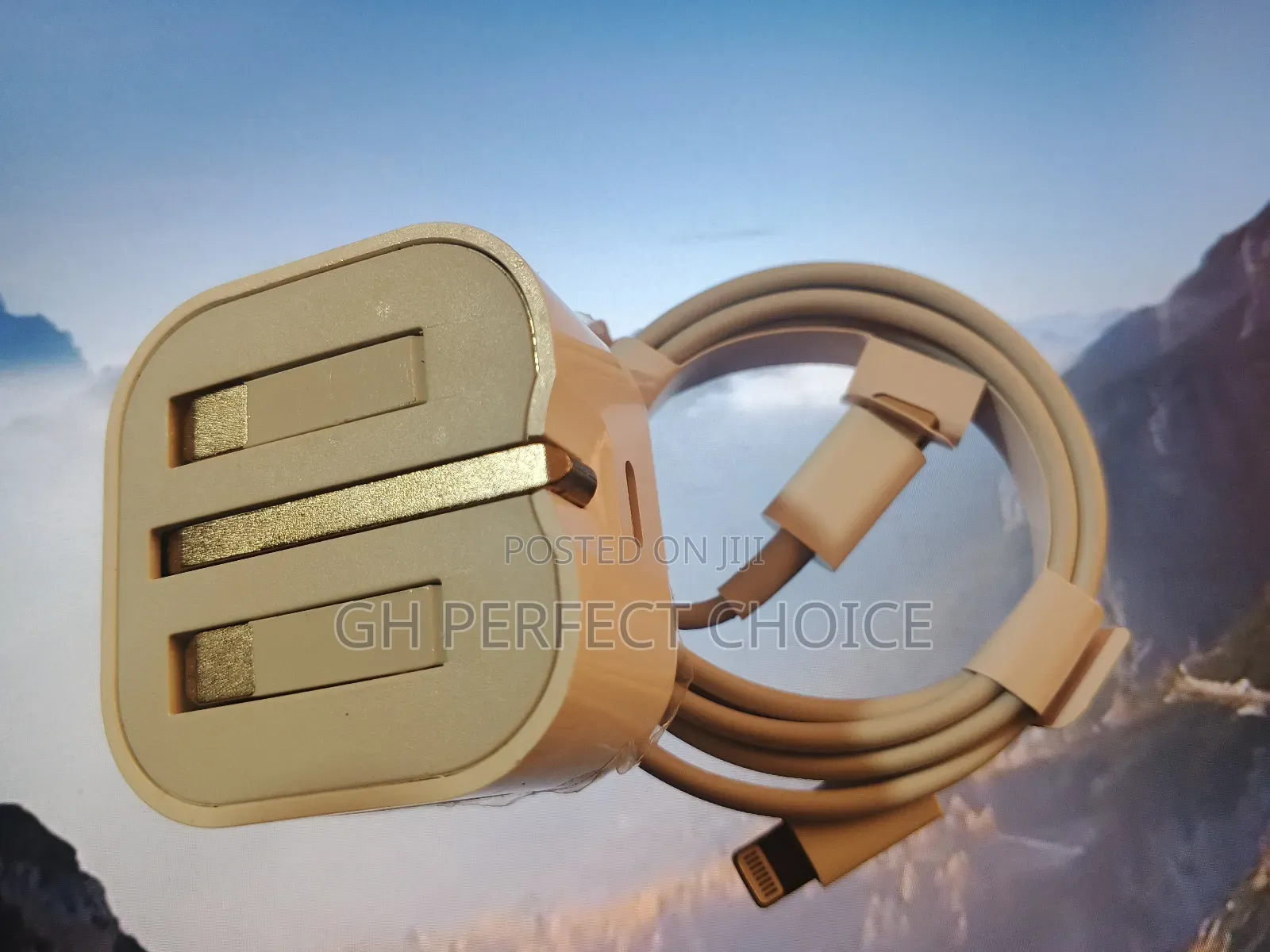 Premium iPhone Type C 3-pin Fast Charger