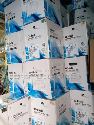 D-Link FTP Indoor Cat 6 Cable 305