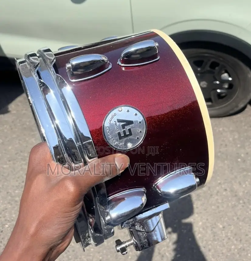 Professional Drums