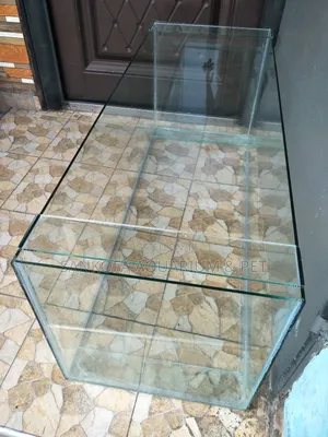 Aquarium Tank Rent for Program's Events