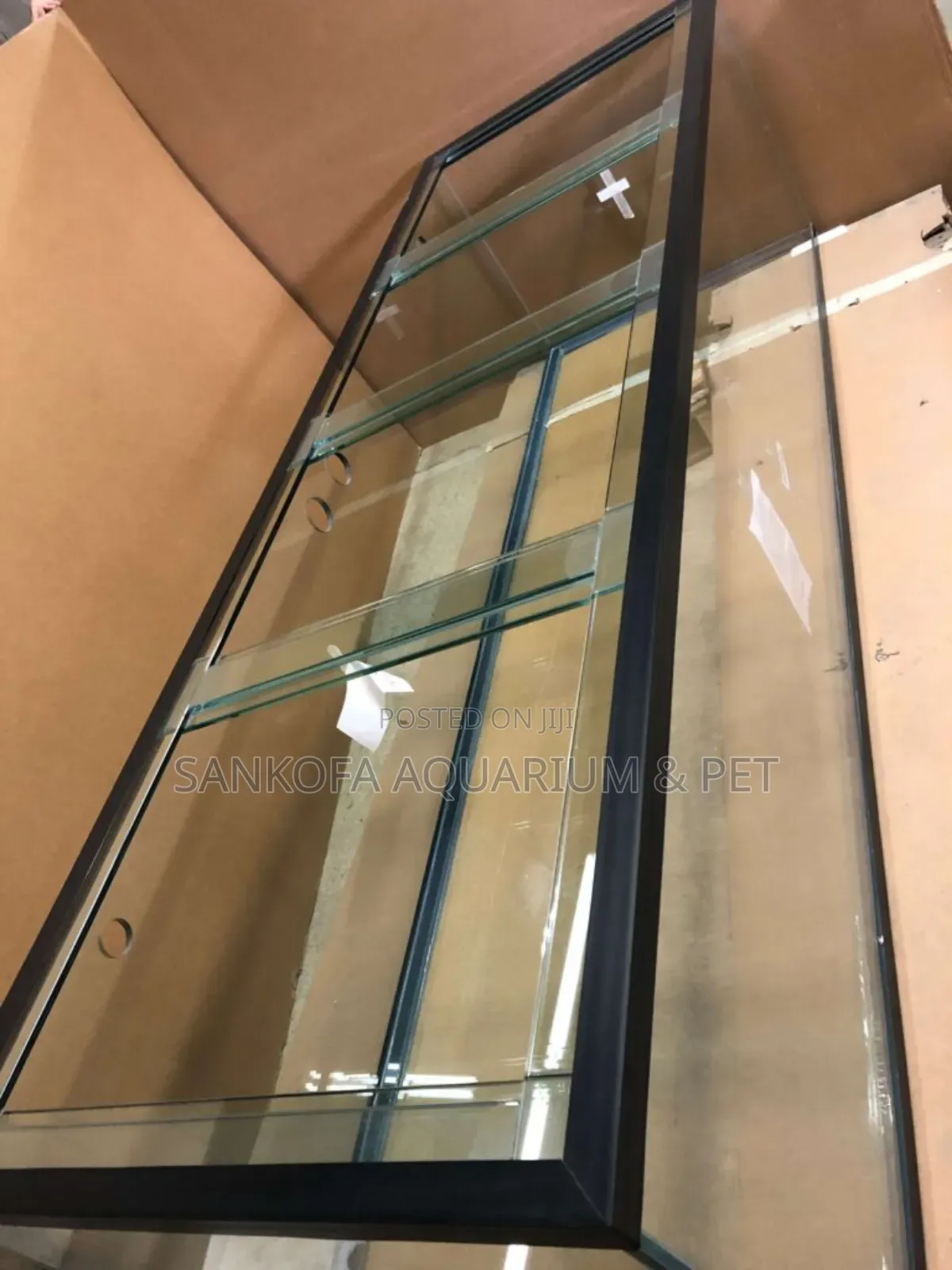 Aquarium Tank Rent for Program's Events