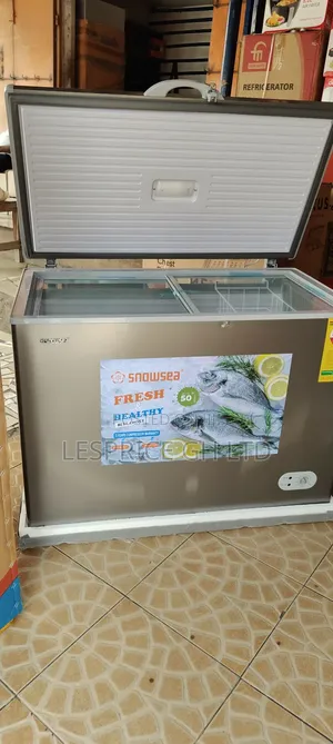 Promo Snowsea Freezer 270l