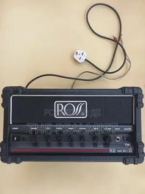 Ross Micro 22 Blaster Amp
