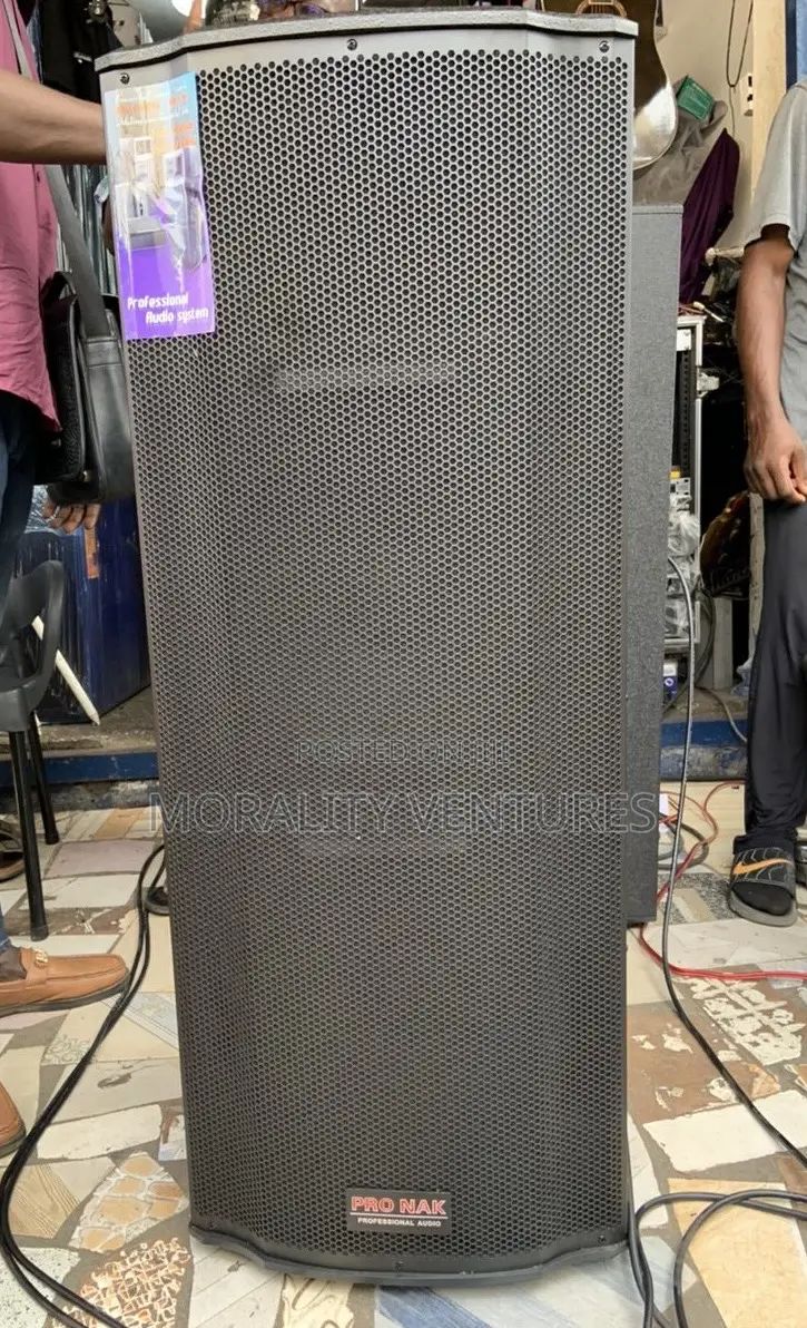 Pro-Nak Professional Audio Speaker