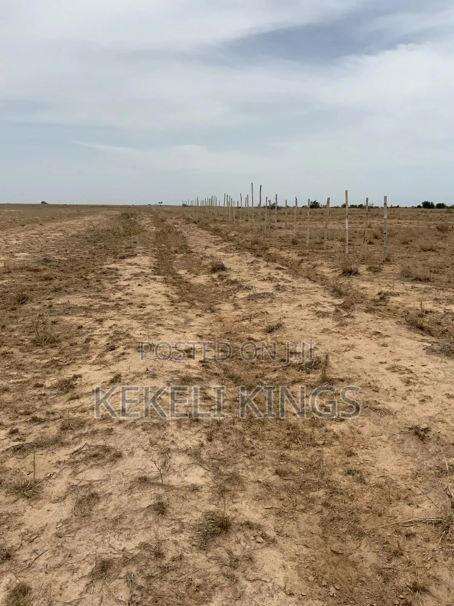 Lands for Sale: (Dawa-Urban City) No Litigation