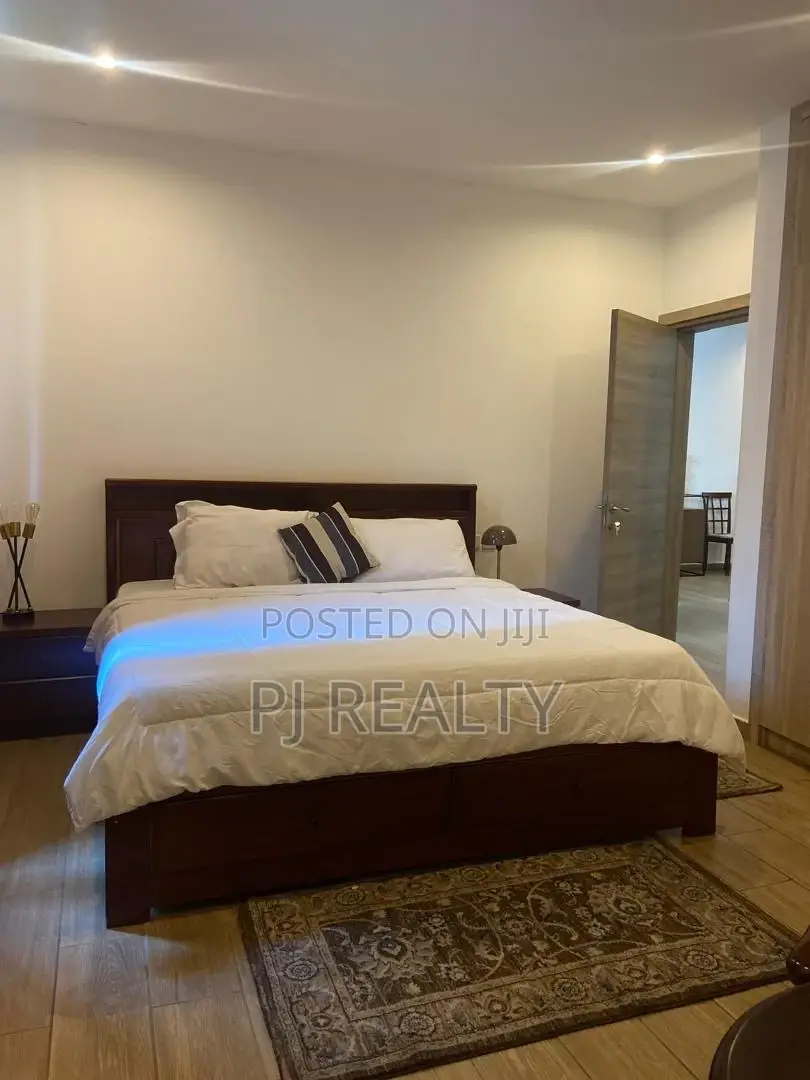 Furnished 1bdrm Apartment in Greater Accra for rent