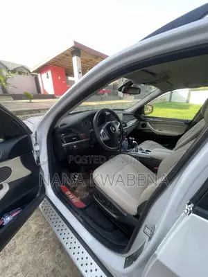 BMW X5 xDrive30i AWD (3.0L 6cyl 6A) 2010 White