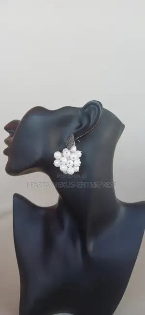 Beaded Earrings