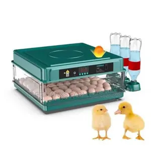 72 Egg Incubator