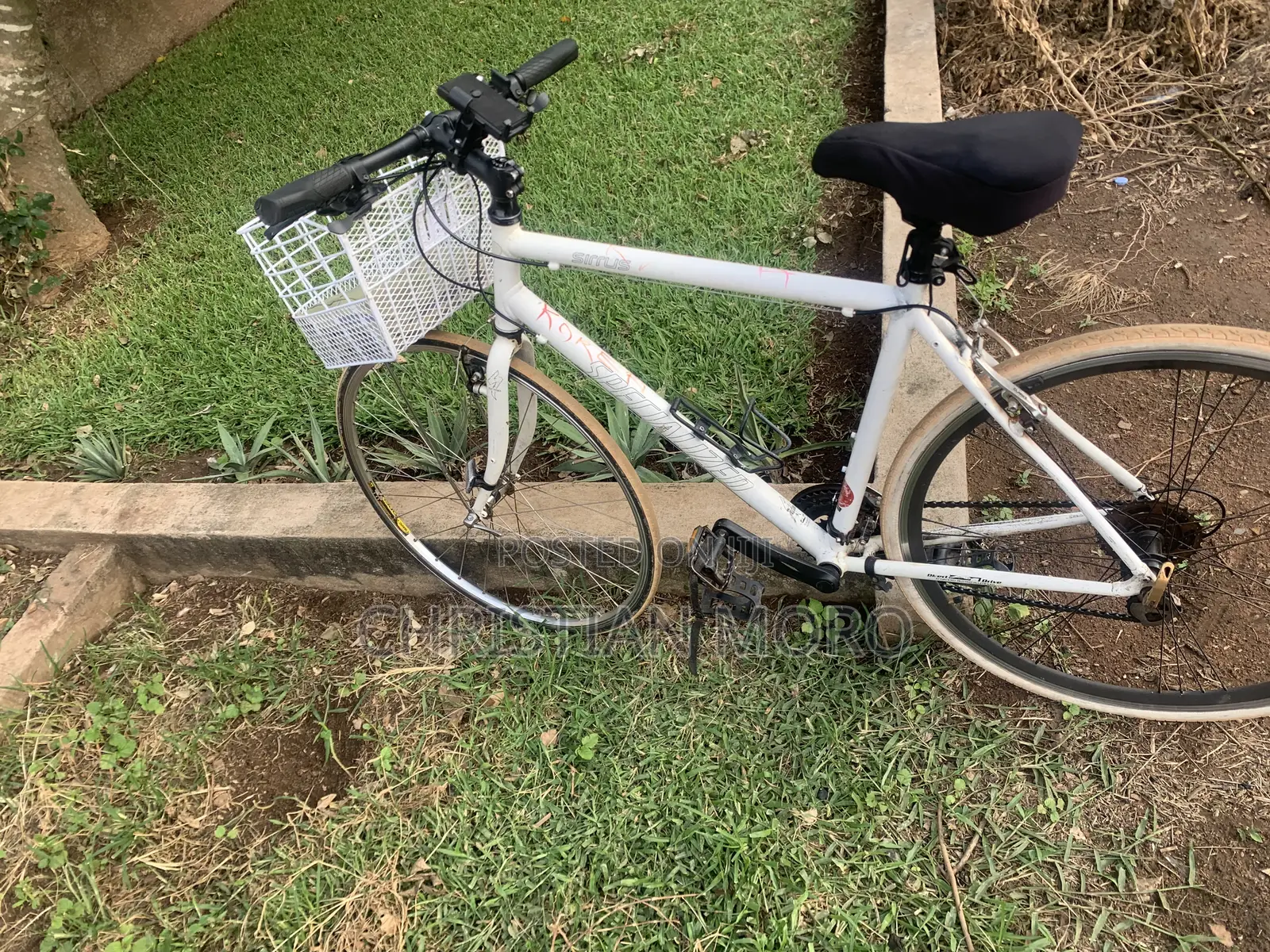 Mountain Bike