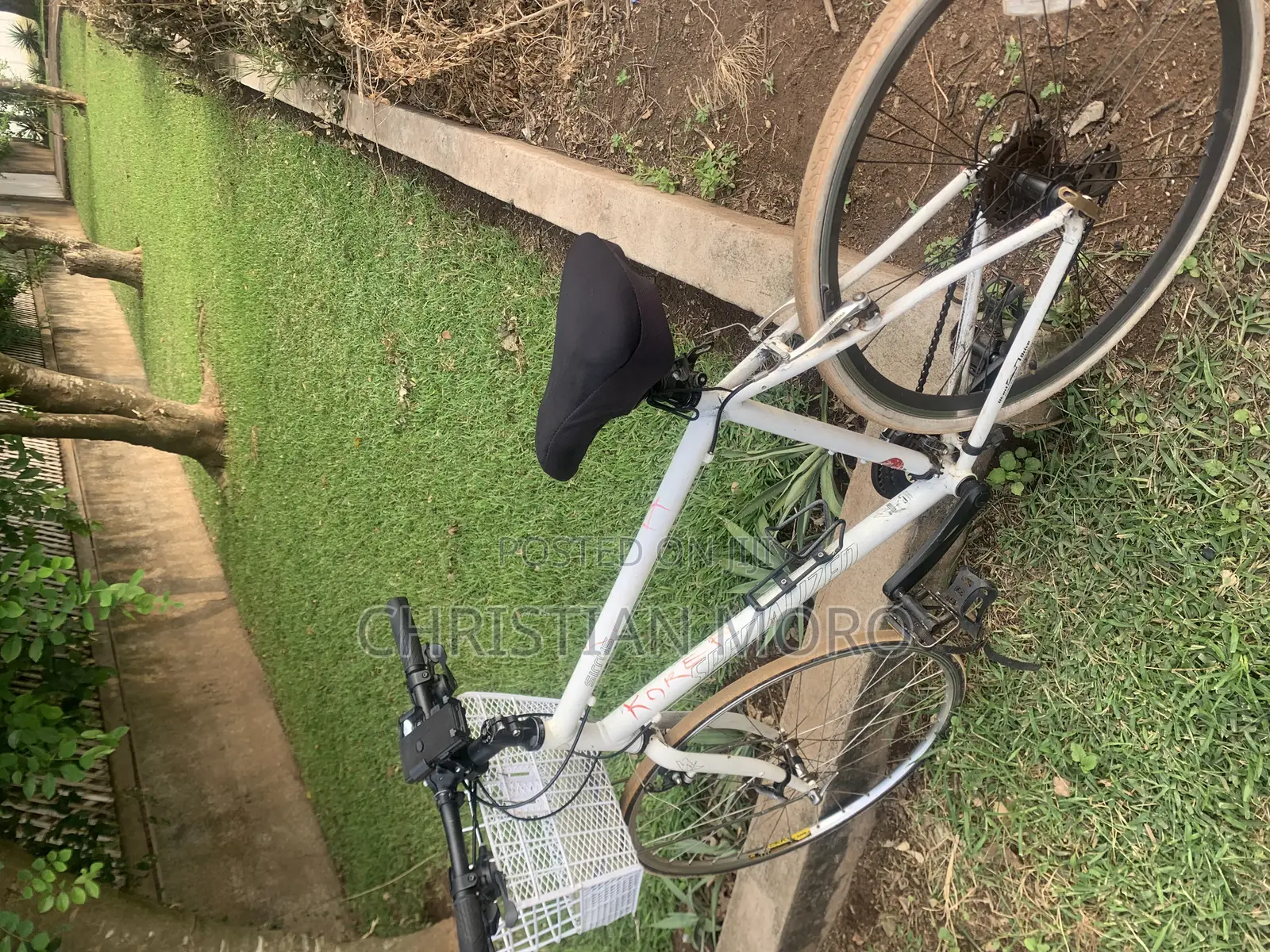 Mountain Bike
