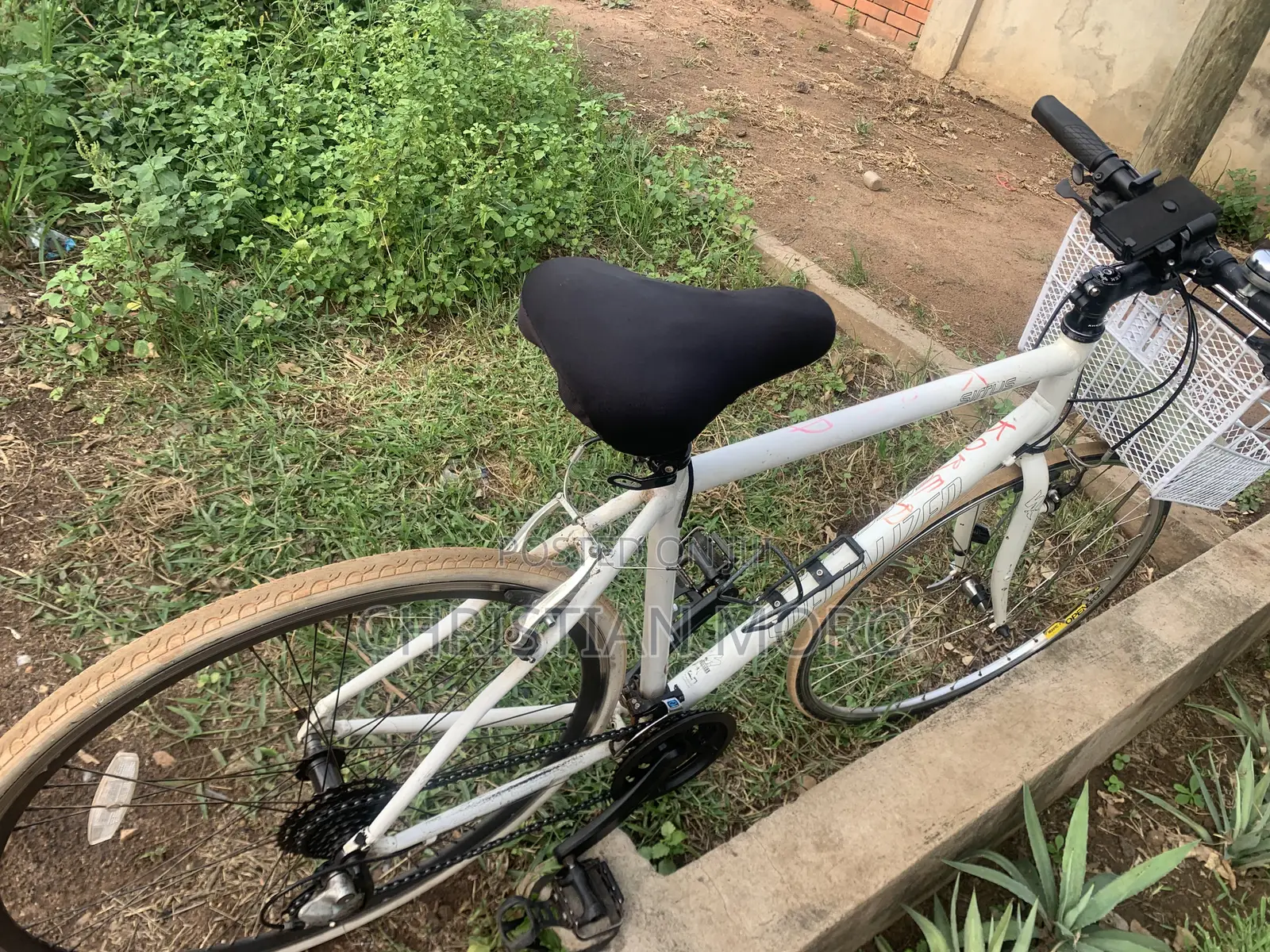 Mountain Bike