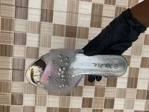 Silver and Gold Heels