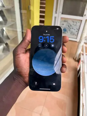 Apple iPhone 13 Pro Max 256 GB Gray