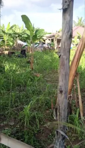 100x100 1plot For Sale