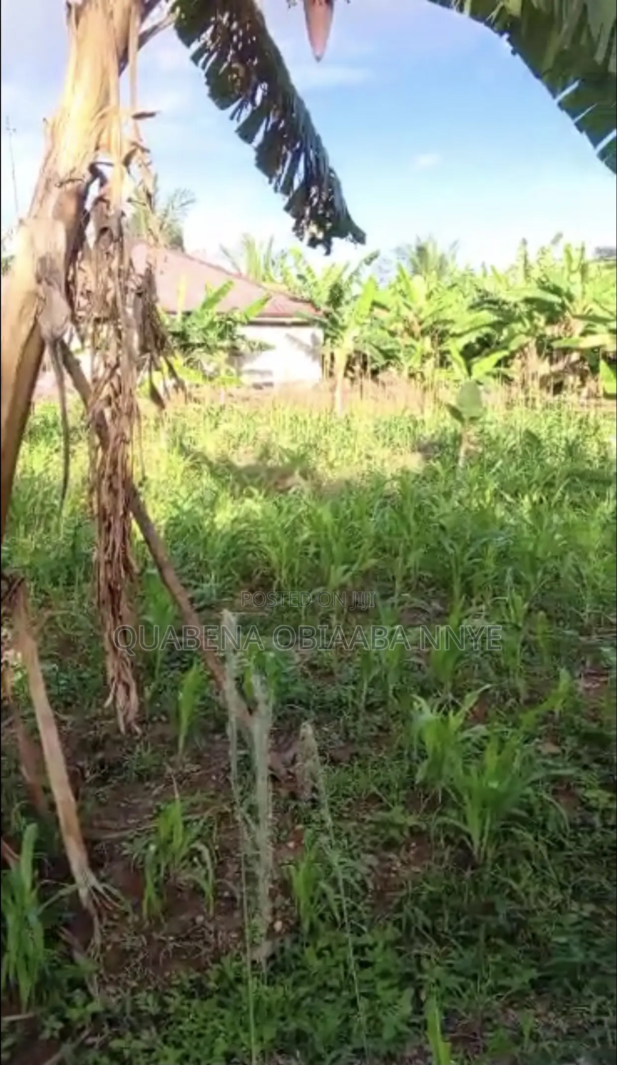 100x100 1plot For Sale