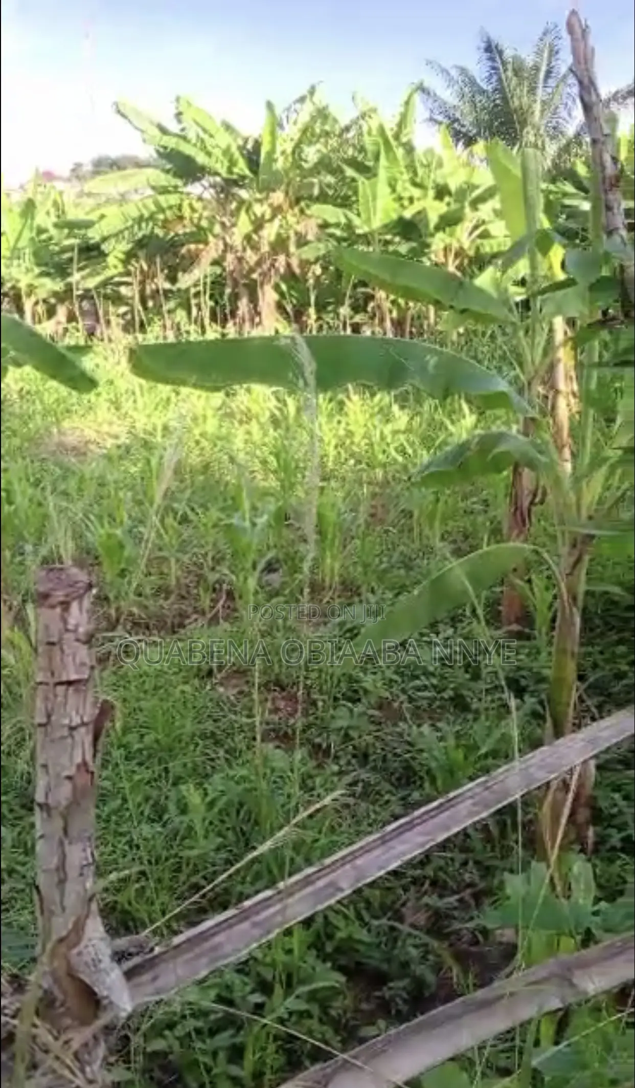 100x100 1plot For Sale