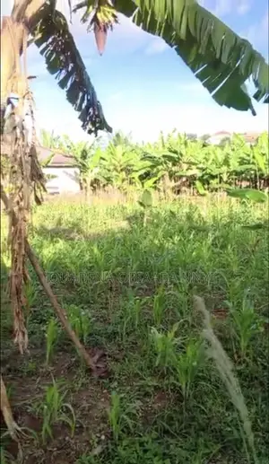 100x100 1plot For Sale