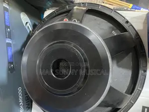 18” Naked Speaker Big Magnet