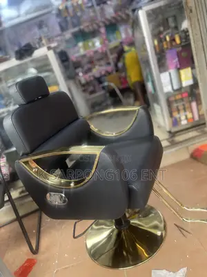 Salons and Barbers Chair