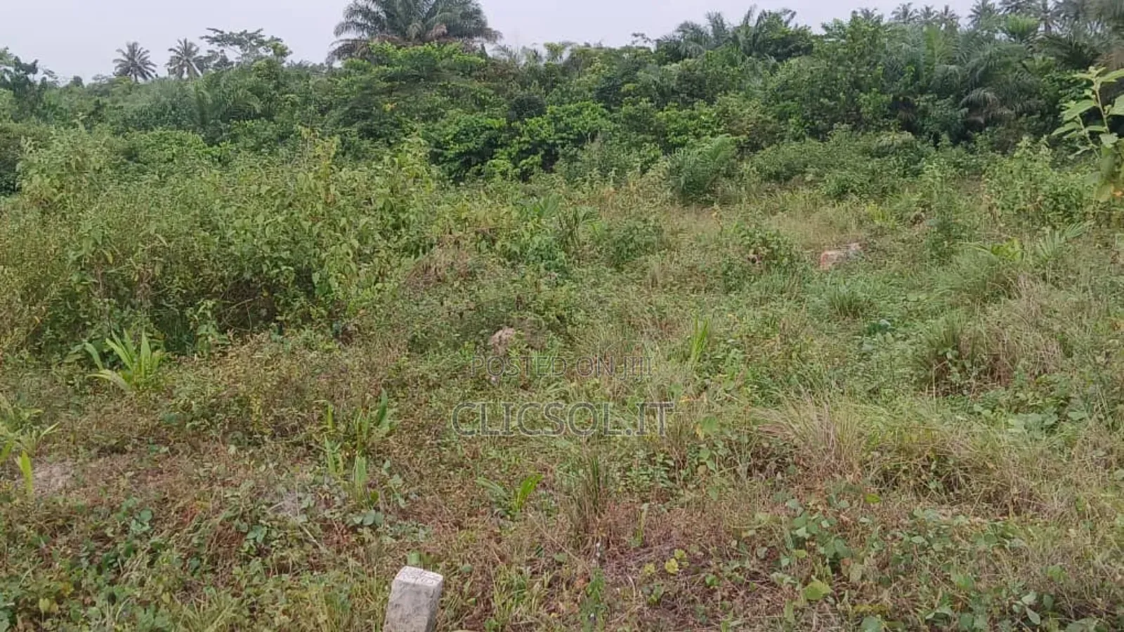 Plots Of Land At Whindo
