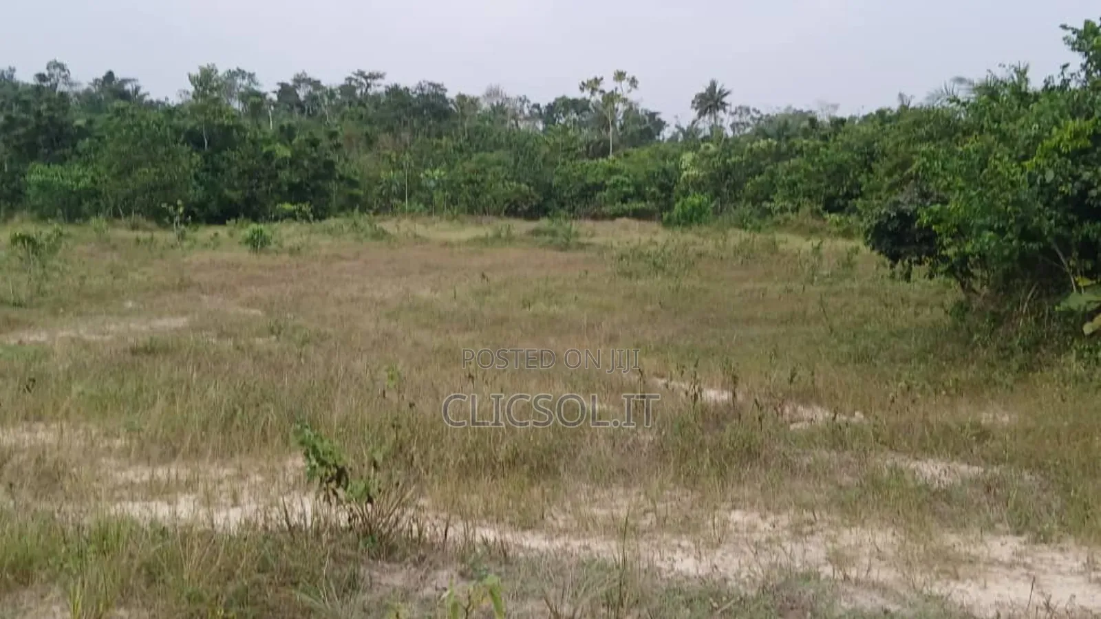Plots Of Land At Whindo