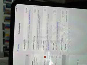 Apple iPad Pro 11 (2024) 512 GB Gray
