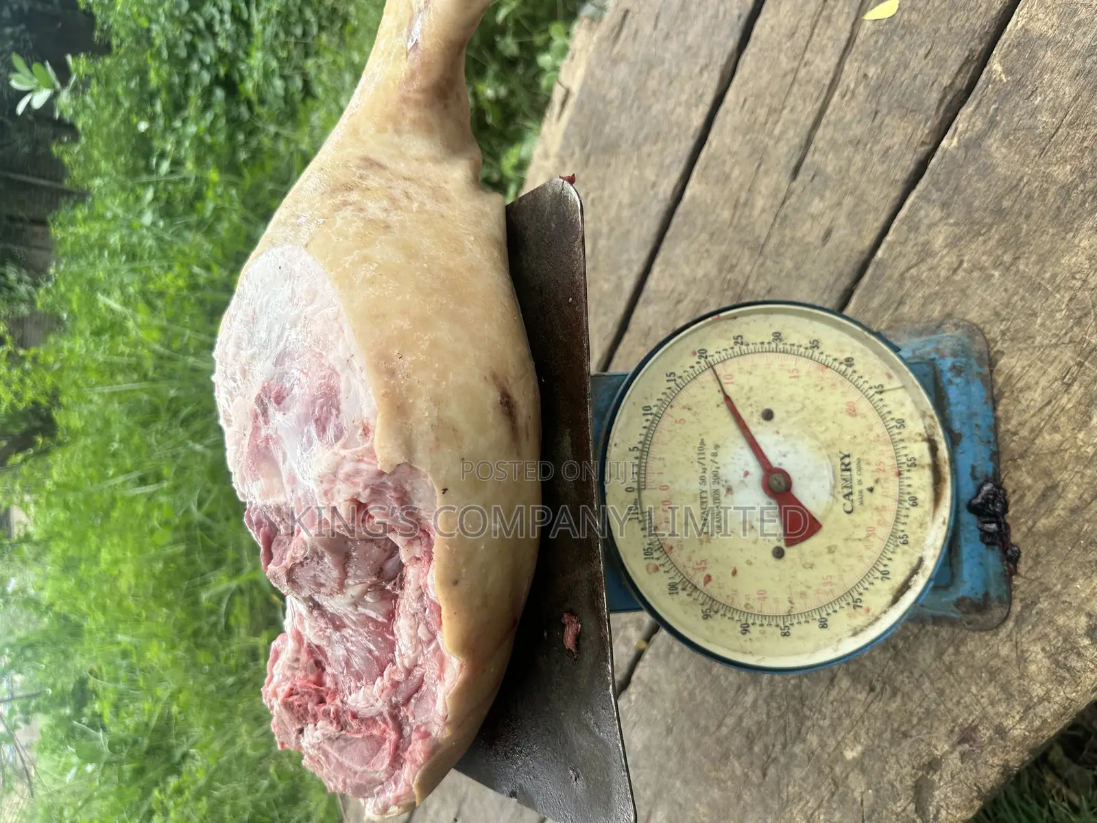 Fresh Pork Meat
