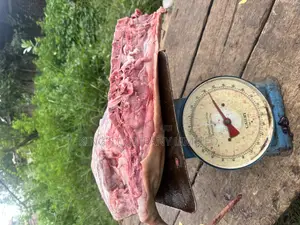 Fresh Pork Meat