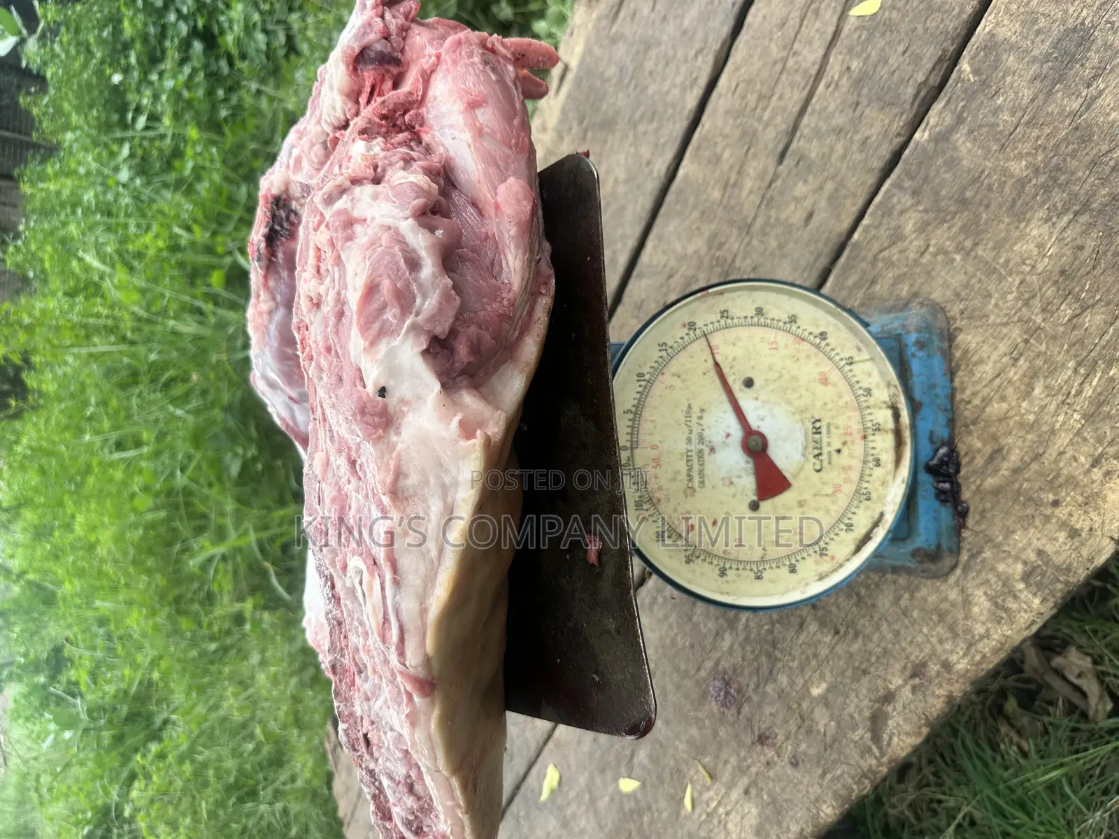 Fresh Pork Meat