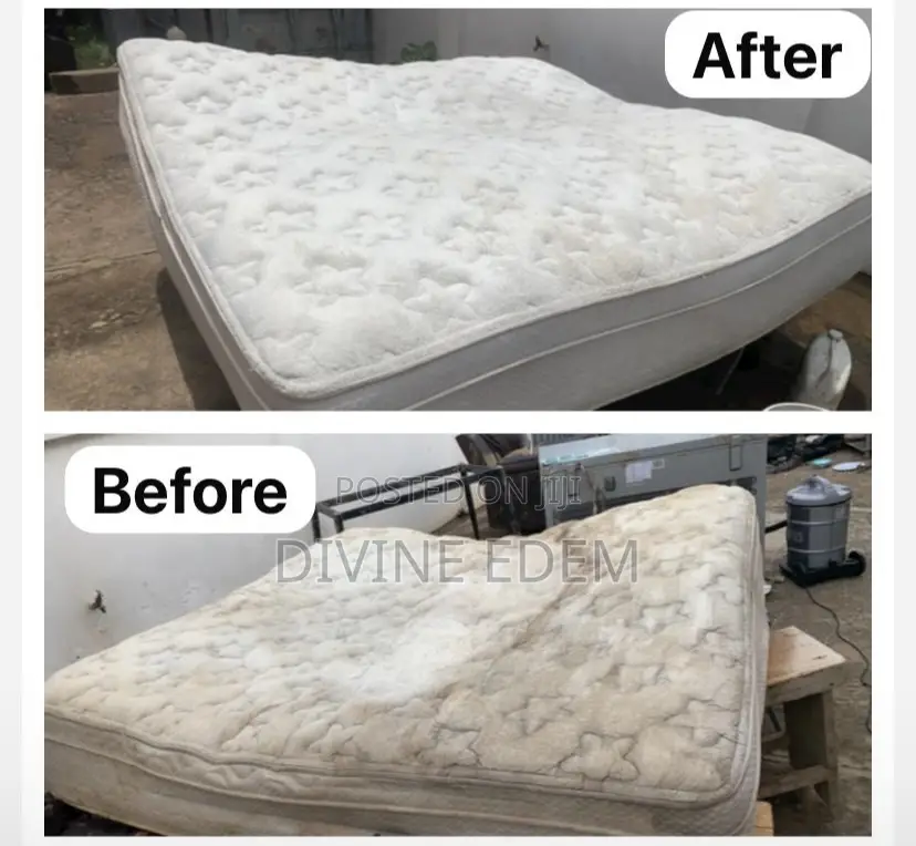 Contact Us for All Your Upholstery Cleaning Services