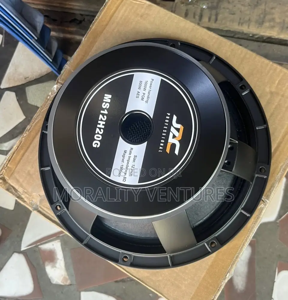 Ms12h 20g Professional Speaker