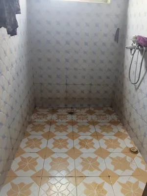 2bdrm Apartment in Odokor, Official Town for rent