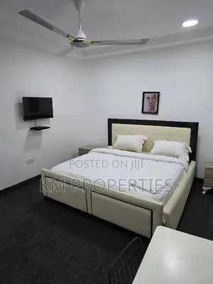 Furnished Studio Apt. In Dzorwulu Central