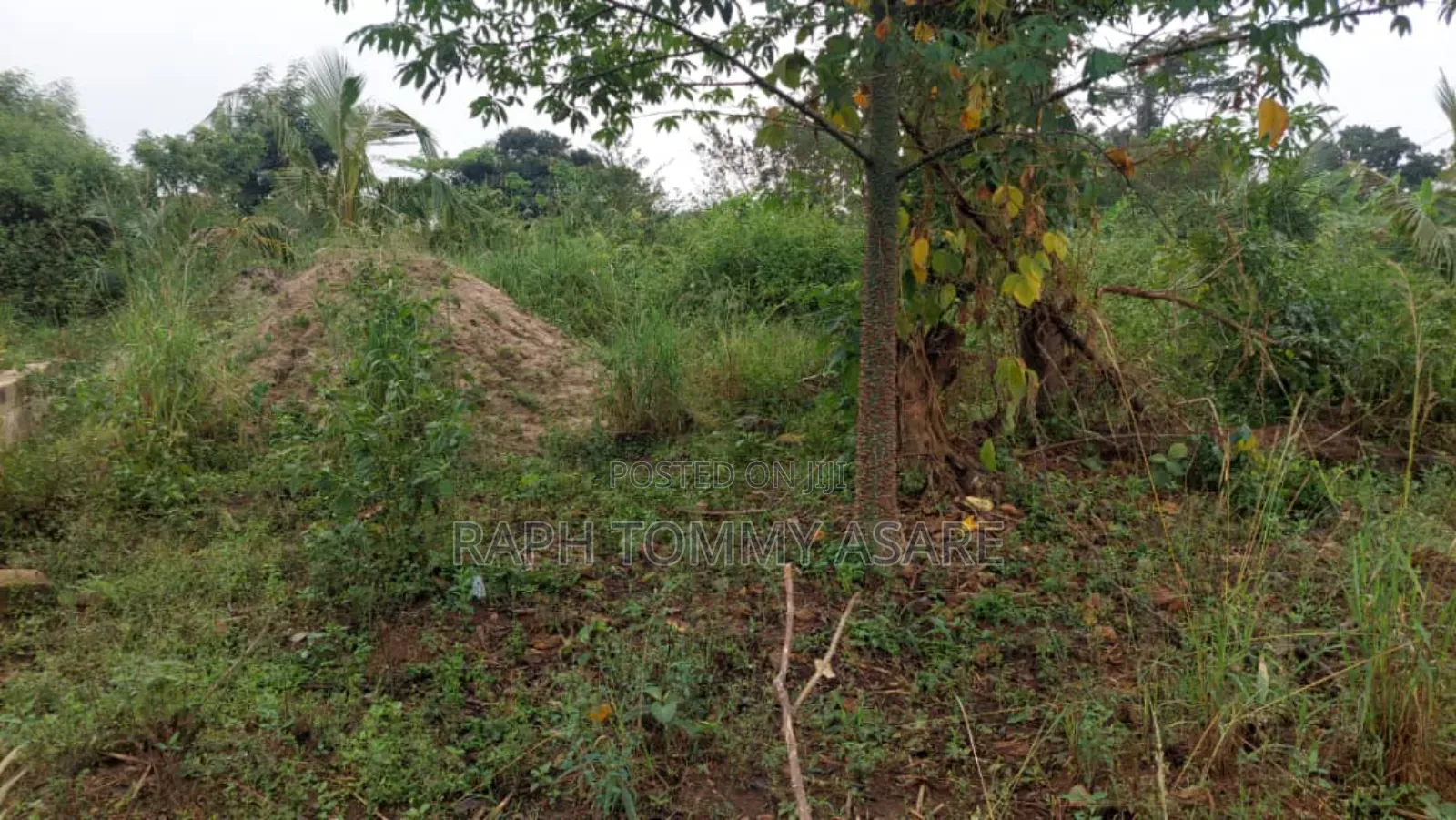 Well Documented Land Located at Agona for Sale