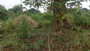 Well Documented Land Located at Agona for Sale