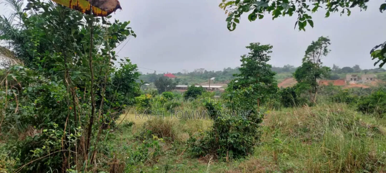 Land for Sale at Agona Ashant