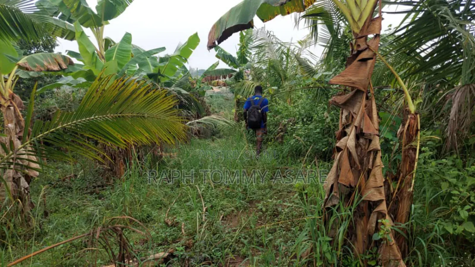 Land for Sale at Agona Ashant