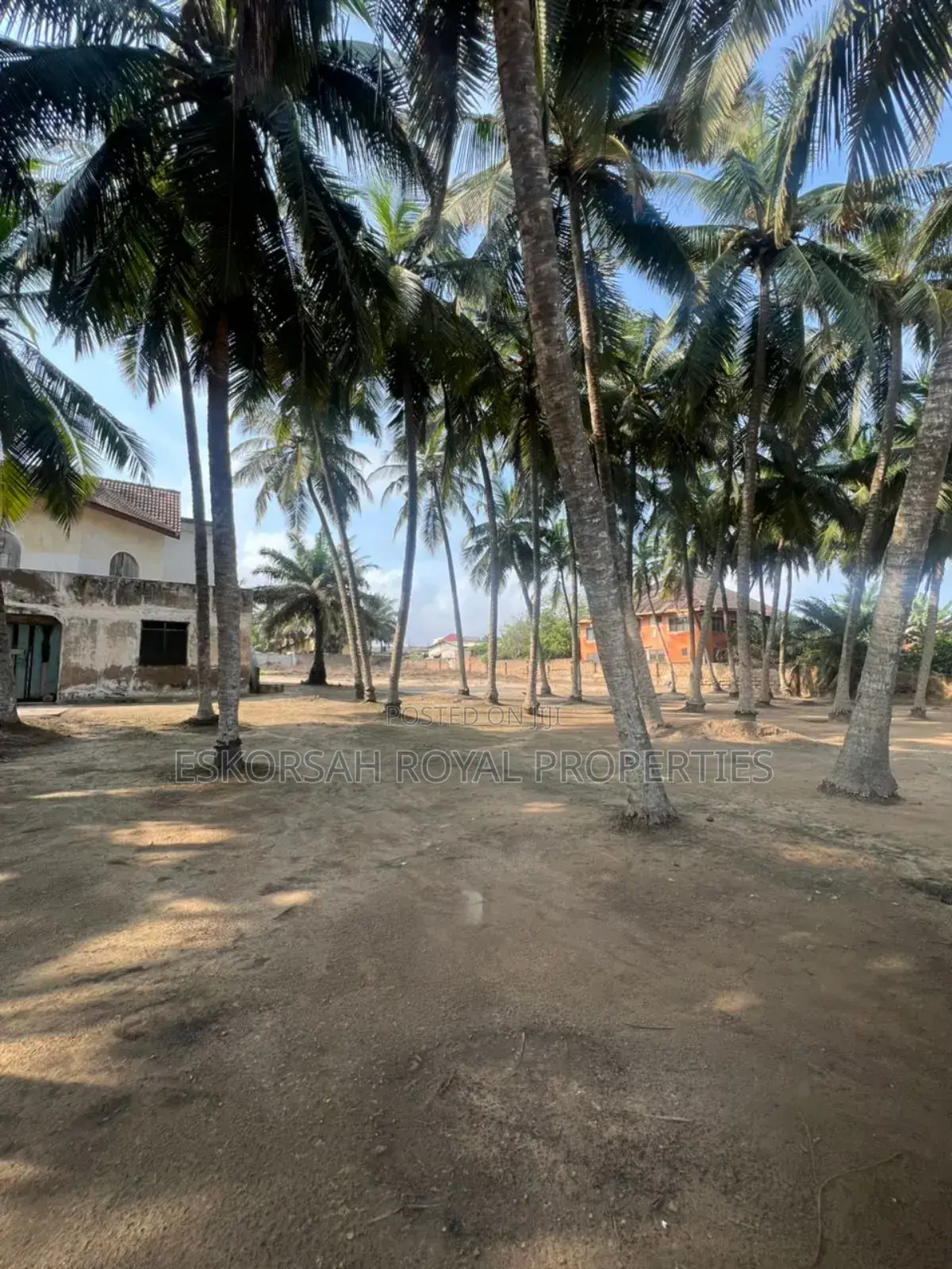 Executive Prime Beachfront Land for Sale – Nungua Coco Beach, Accra